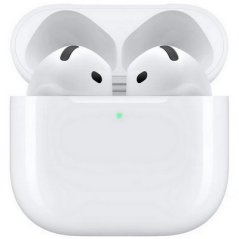 Obrázek (1) Obrázek (1)